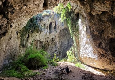 Trail Walking Méjannes-le-Clap - grotte Aven de Peyre haute - Photo