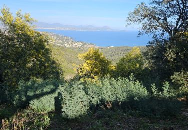 Trail Walking Roquebrune-sur-Argens - 14/02/24 M et C  Gaillarde - Photo