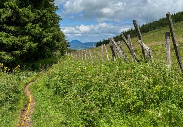 Trail Walking Orcival - Lac de Servières à partir du Café du Lac - Photo