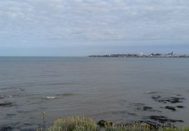 Tour Elektrofahrrad Royan - sortie vtt 10072023 Talmont - Photo