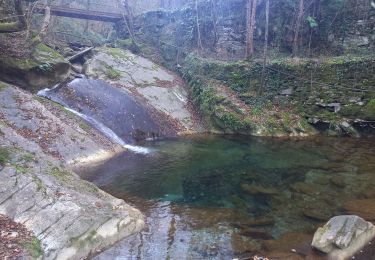 Tour Wandern Dolcedo - Laghetti di Lecchiore 27.12.24  - Photo