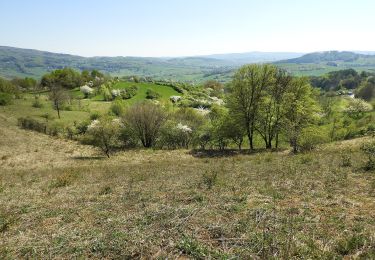 Tocht Te voet Großalmerode - Großalmerode, Rundweg 21 - Photo