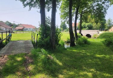 Percorso Mountainbike Magny-Vernois - Magny Vernois,  ois de lantenot et de belmont - Photo