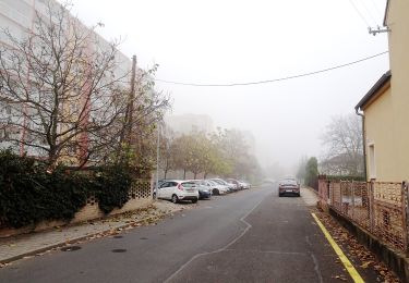 Randonnée A pied Štětí - NS Loupežníka Štětky - Photo