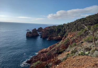 Tocht Stappen Saint-Raphaël - Agay - St Raphaël 24.12.23 - Photo