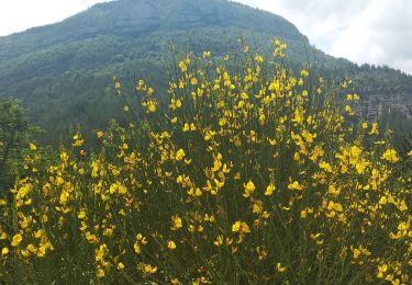 Trail Walking Rémuzat - Remuzat,Montrond - Photo