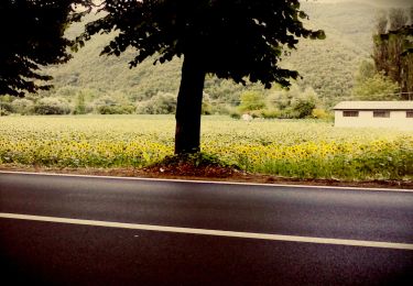 Tour Zu Fuß Rieti - Via di Francesco - Tappa 20 Rieti-Poggio San Lorenzo - Photo