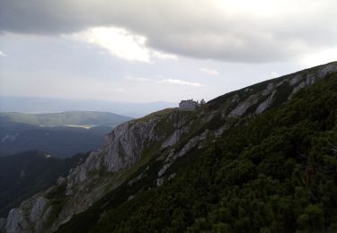 Trail On foot Gemeinde Puchberg am Schneeberg - Schneebergdörfl - Herminensteig - Damböckhaus - Photo