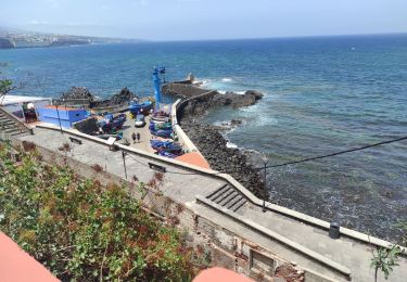 Excursión Senderismo San Cristóbal de La Laguna - punta de Hidalgo le port - Photo