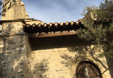 Excursión Senderismo Ille-sur-Têt - Ille église Casenoves boucle  - Photo