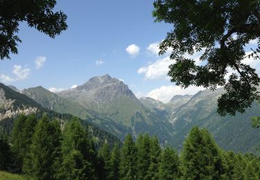 Percorso A piedi Bagolino - Cascina Serese - Goletto di Gaver - Photo