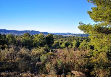 Excursión Senderismo Le Beausset - le beausset abime de Maramouyé - Photo