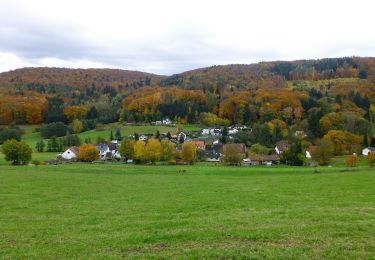 Excursión A pie Modautal - Rundwanderweg Modautal 3 - Photo