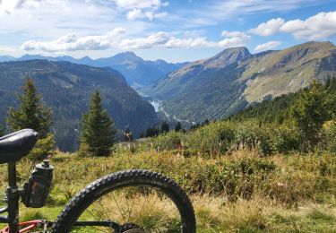 Trail Mountain bike Montriond - lindaret lac de la plagne - Photo