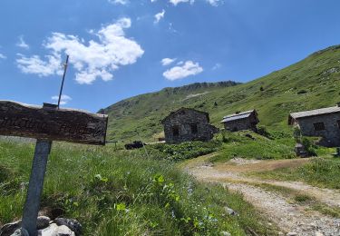 Trail Walking Modane - Descente du refuge du Monténégro Thabor - Photo