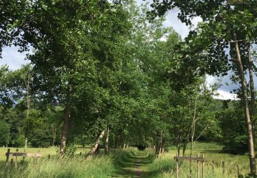 Excursión Senderismo Olne - Drève de Pastureau - Photo