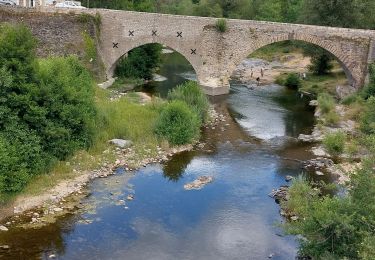 Trail Walking Pont de Montvert - Sud Mont Lozère - Etape 7 Pont Montvert/Florac - Photo