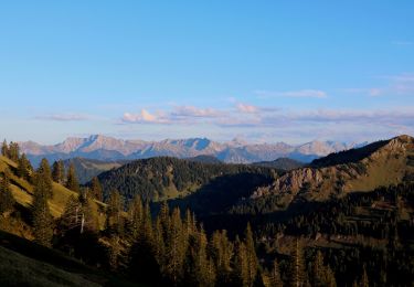 Tour Zu Fuß Oberstaufen - Wandergebiet Oberstaufen - Photo