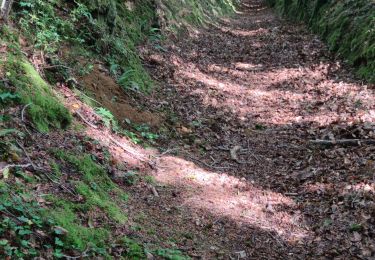 Tour Wandern Cherbourg-en-Cotentin - La Glacerie  - Photo