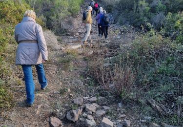 Tocht Stappen Roquebrune-sur-Argens - z la bonne eau 16-01-24 - Photo