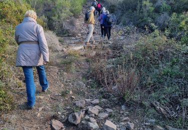 Tour Wandern Roquebrune-sur-Argens - z la bonne eau 16-01-24 - Photo