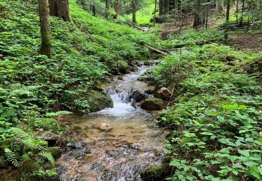 Trail Walking Saint-Sauveur-en-Rue - Aiguebelle - Photo