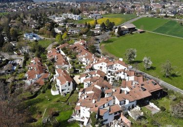 Excursión A pie Erlenbach (ZH) - Erlenbach Schiff - Maur Schifflände - Photo