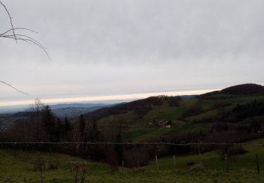 Excursión Senderismo Brullioles - De Bruliolles à Montrottier - Photo