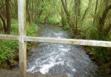 Excursión A pie Partensteiner Forst - Kulturweg Neuhütten - Photo