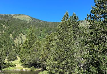 Tour Mountainbike Les Angles - Lladure en VTTAE  moyen - Photo