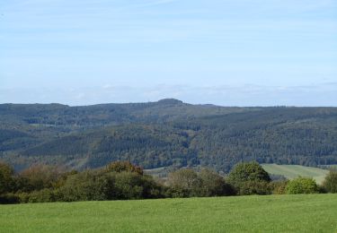 Trail On foot Bad Sooden-Allendorf - Sälzerweg 1 - Photo