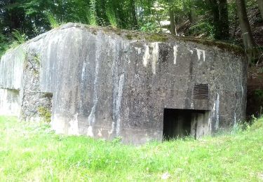 Tour Zu Fuß Bad Niederbronn - Disque rouge - Photo