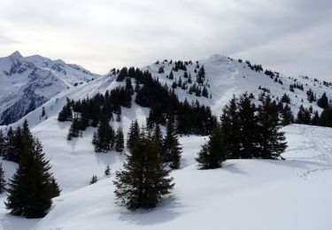 Tocht Sneeuwschoenen Crêts-en-Belledonne - Grand-Rocher-2021-02-16 - Photo