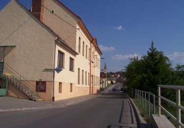 Tour Zu Fuß Popovice - CZ-Turistický okruh Bukovina - Photo