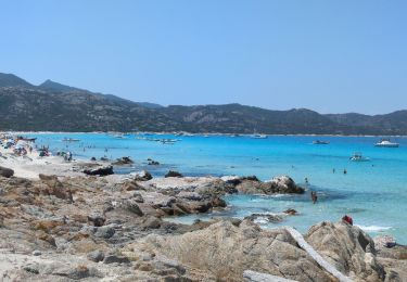 Randonnée Marche Santo-Pietro-di-Tenda - sentier côtier entre la plage du Lotus et Sallecia - Photo