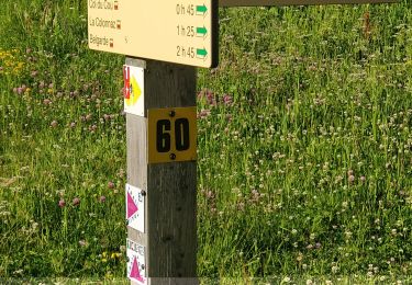 Trail Walking Magland - Tête des Lindars - Photo