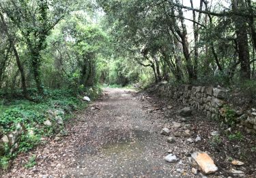 Excursión Senderismo Draguignan - Draguignan ancien Malmont 8 km - Photo