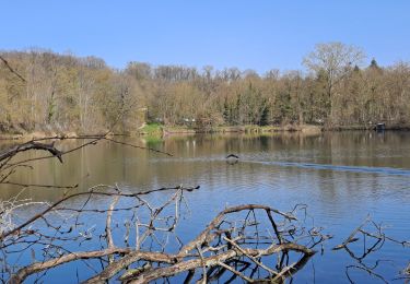 Tour Wandern Versailles - Versailles Fontenay  - Photo