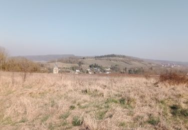 Tour Wandern Chézy-sur-Marne - Chézy-sur-Marne du 08-03-2022 - Photo