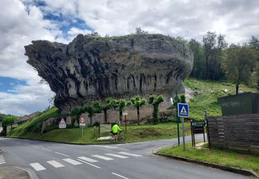 Tocht Wegfiets Lalinde - J4 La Vézère Les Eyzies - Photo