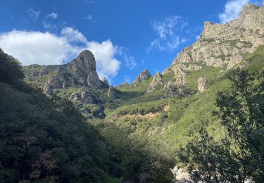 Tocht Stappen Saint-Martin-de-l'Arçon - Gorges de Colombieres et d Heric - Photo