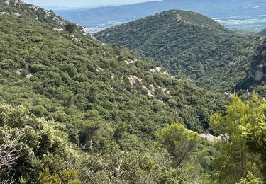 Trail Horseback riding Lauris - Provence 2025 J1 - Photo