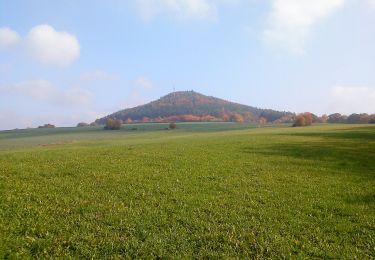 Tocht Te voet Schöllkrippen - Kulturweg Schöllkrippen 2 - Photo