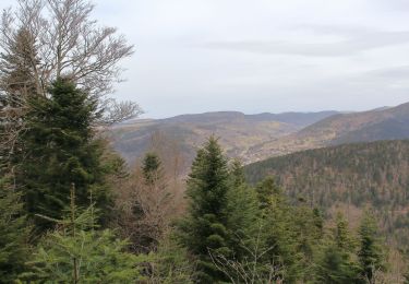 Trail Walking Plancher-les-Mines - Planche des Belles Filles - Photo