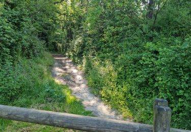 Trail Walking Boissy-le-Cutté - Boissy-le-Cutté  - Photo