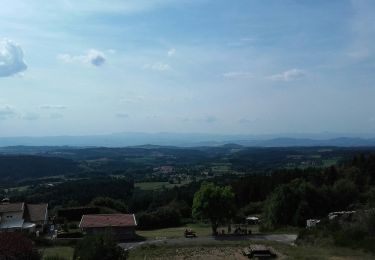 Trail On foot Fournols - Les Deux-Frères - Photo