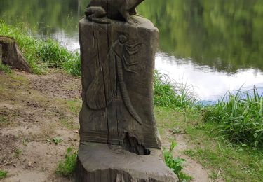 Tour Wandern Saint-Martin-du-Vieux-Bellême - forêt de Bellême - Photo