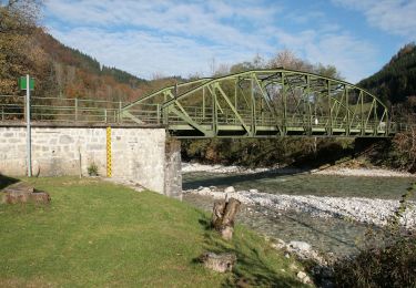 Tour Zu Fuß Gemeinde Göstling an der Ybbs - Rundwanderweg 6 - Photo