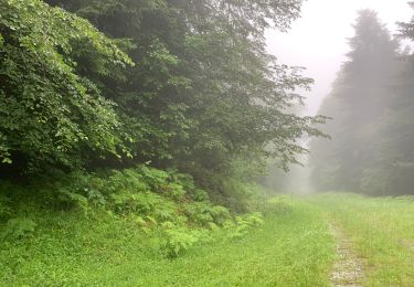 Trail Walking Bagnères-de-Luchon - J8.23 Bagnère de Luchon Espingo  - Photo