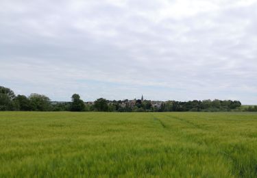 Percorso Marcia Épône - Epone-Mézières à Beynes - Photo